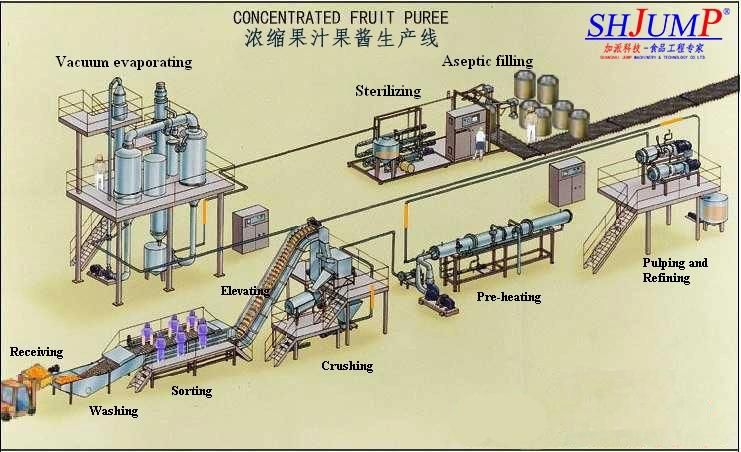 5 - 30 T/H Mango Processing Plant with Mango Pulp Machine