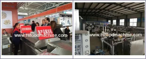 Potato Chips Automatic Frying Machine and Meat Fried Machine