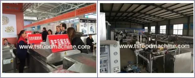 Potato Chips Automatic Frying Machine and Meat Fried Machine
