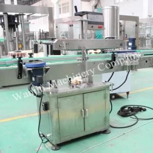 Wjl Full Automatic One Side Adhesive Labeling Equipment