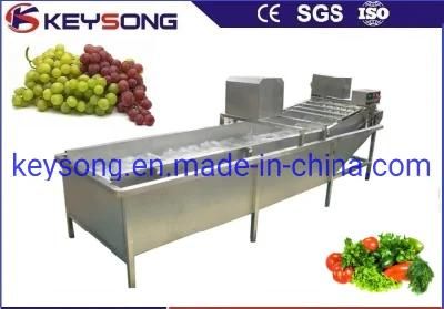 Vegetable Processing Line Bubble Washing Machinery