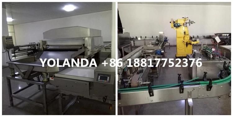 Tuna Processing Machine Canned Tuna Plant