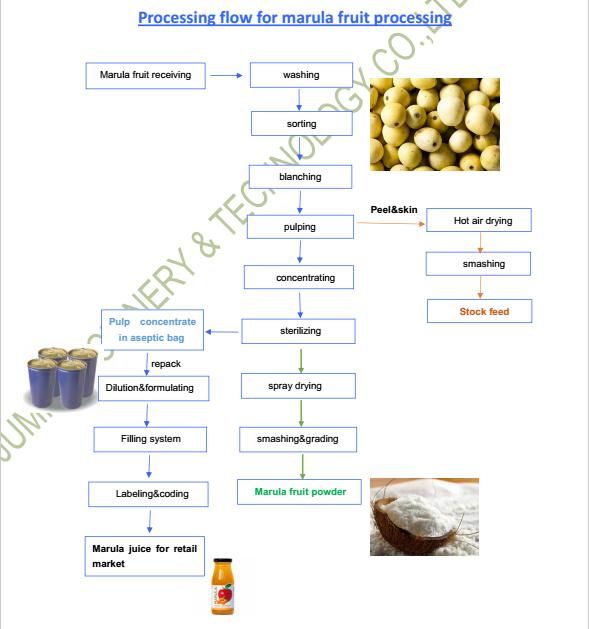 Complete Line Marula Fruit Processing Machine for Pulp and Powder