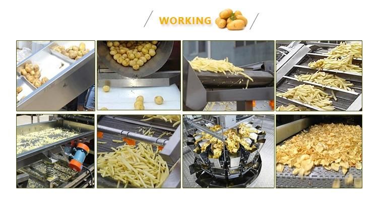 High Quality Potato Chips Production Line Frozen French Fries Production Line