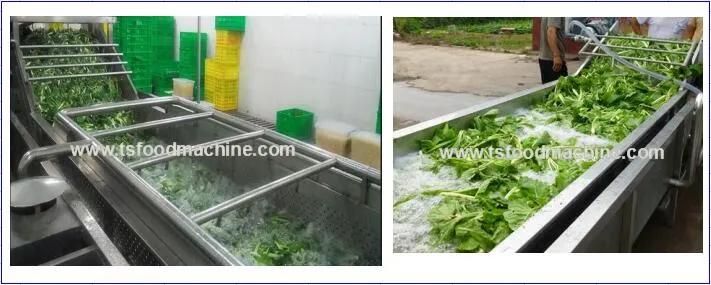 Fruit Vegetable Washer and Vegetable Bubble Washing Machine