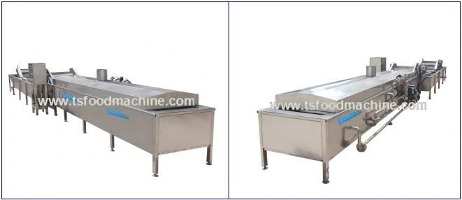 Vegetable Processing Machine and Fruit and Vegetable Blanching Machine