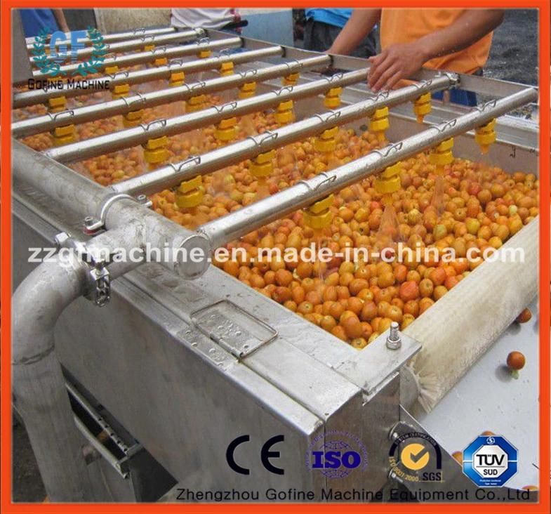 Multifunctional High Efficiency Automatic Bubble Spray Cleaning Machine for Vegetables Fruits