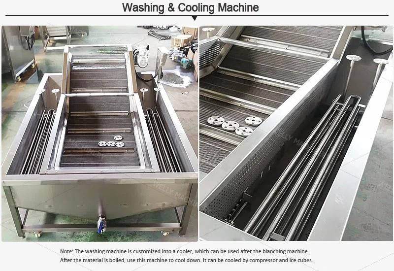 Fast Delivery Beetroot Washing Salad Vegetable Cleaning Machine for Export