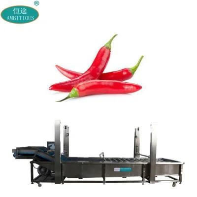 Conveyor Automatic Pepper and Chilli Bubble Washing Machine