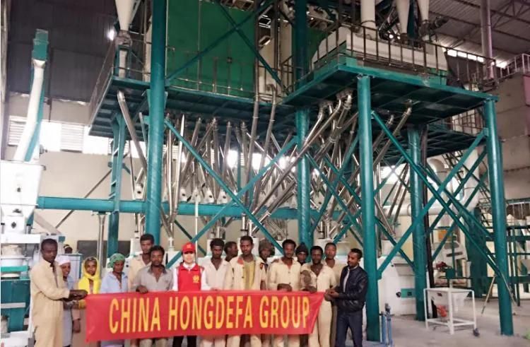 Hot Sale 80t/24h Wheat Processing Plant Flour Mill Machine Price