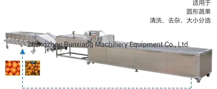 Vegetable Potato Carrot Washing Peeling Sorter Packing Processing Machine (WS)