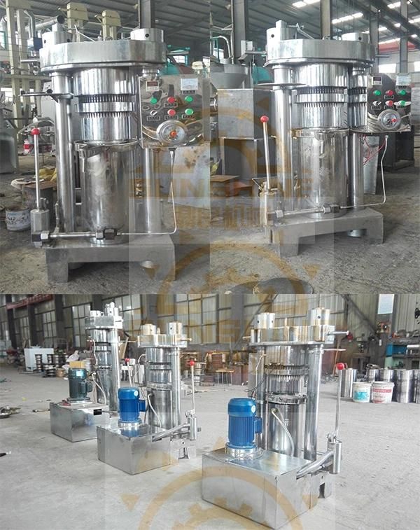 Sesame Cooking Oil Making Machine 21kg Cold Press Oil Machine