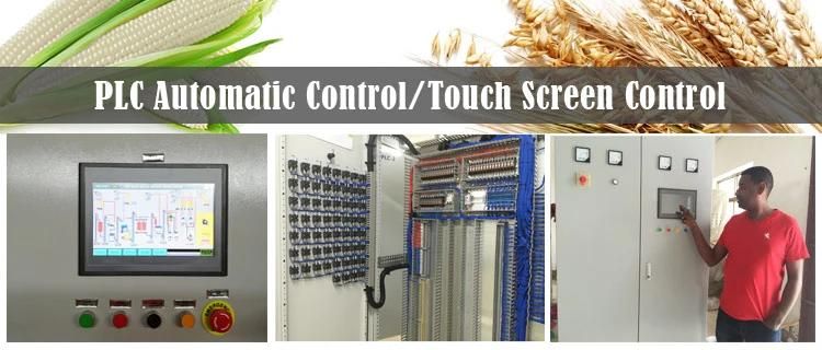 Automatic 50t/24h Wheat Flour Milling Machine for Sale