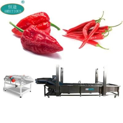 Washing and Drying Vegetable Line Pepper Washing Conveyor