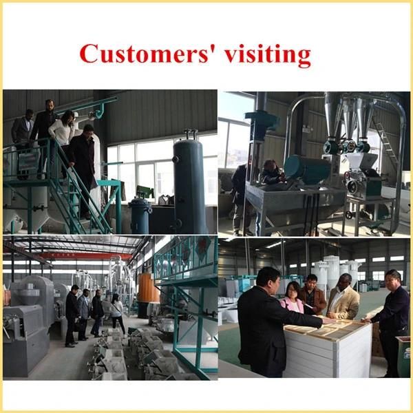 Energy Conservation Maize Flour Milling Machine