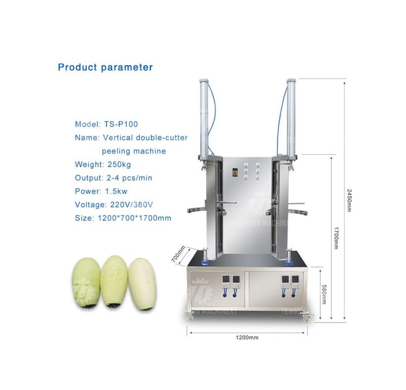 Pineapple Squash Pumpkin Watermelon Papaya Peeler Price Food Processor Commercial Industrial Automatic Peeling Machine Fruit Processing Equipment (TS-P100)