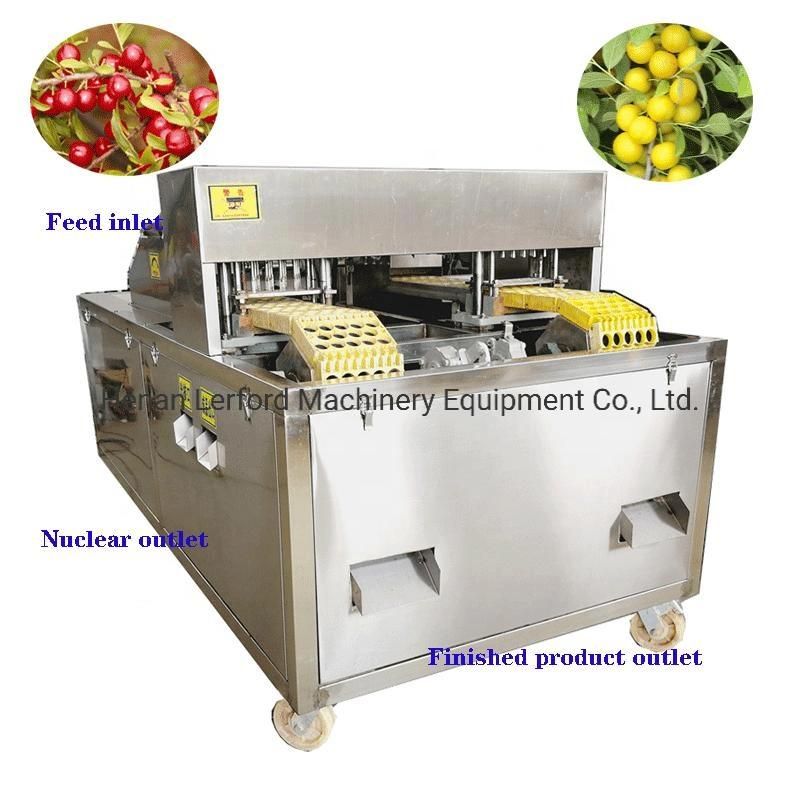 Fruit Seed Removing Date Apple Pear Apricot Cherry Pit Remove Olive Pitting Pitter Processing Machine