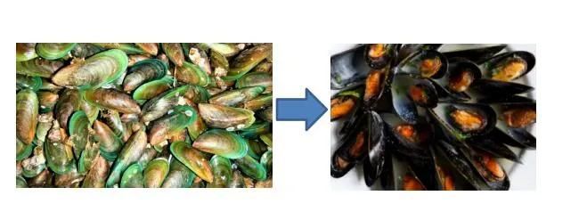 Mussels Steaming Machine Seafood Blanching Machine