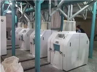 Fully Automatic Wheat/Corn Milling Machines