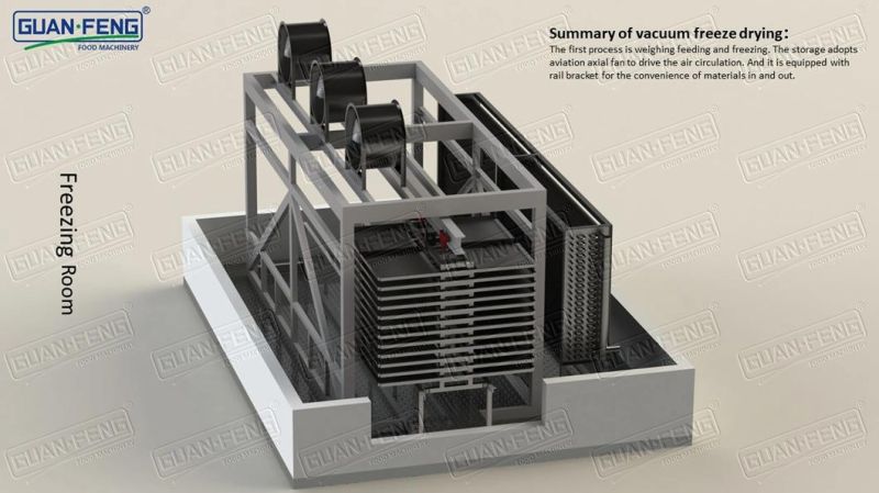 Cherry Freeze Dryer Fruits Production Line Lyophilization Machinery