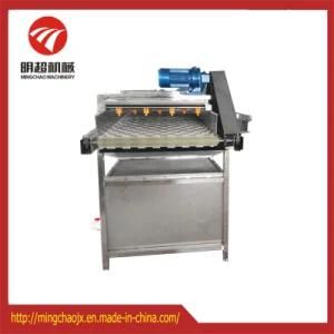 Parallel Brush Wahing Machine for Cucumber SUS304 Stainless Steel Machinery