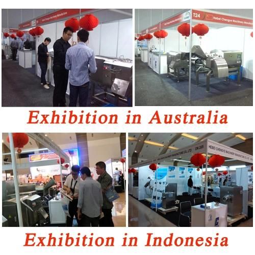 Frozen Meat Chopper/ Cutting Machine with Ce Certification