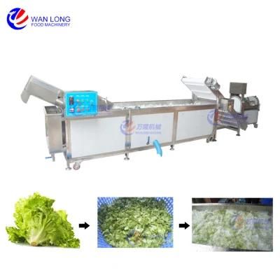 Industrial Leaf Vegetable Salad Washing Washer Slicing Cutting Dewatering Processing ...
