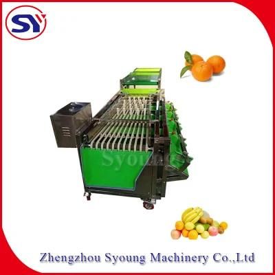 Jujuble Sorting Machine Small Potato Sorting Grading Machine