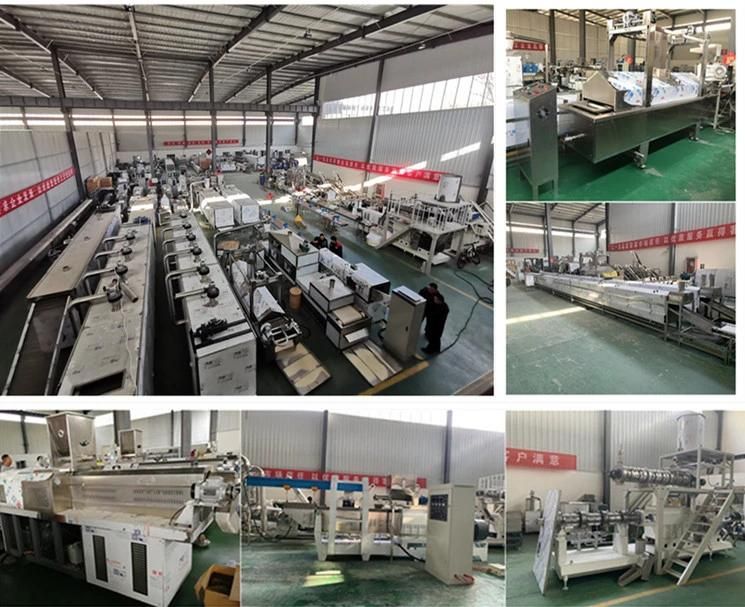 Baby Food Extruder Instant Porridge Corn Rice Puffed Congee Powder Nutritional Flour Production Machine Line