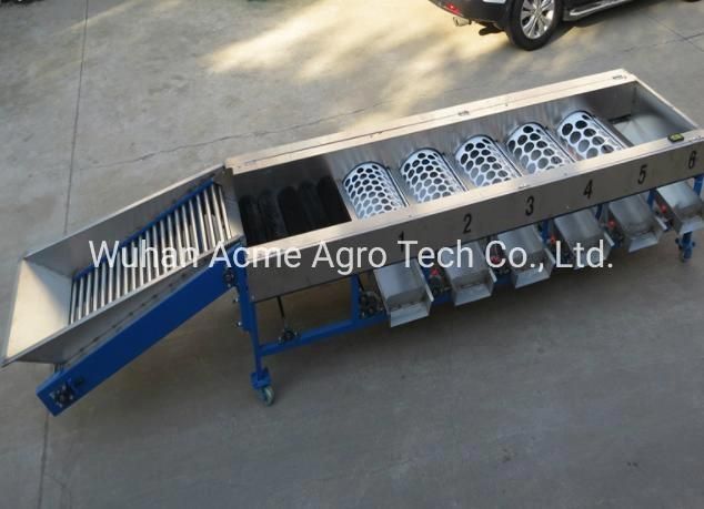 Orange Vegetable Sorter Palm Dates Cherry Garlic Grader Mango Fruit Sorting Onion Grading Machine