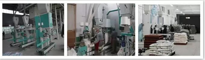 Complete 5-500t/24h Wheat/Maize Flour Mill Milling Machine