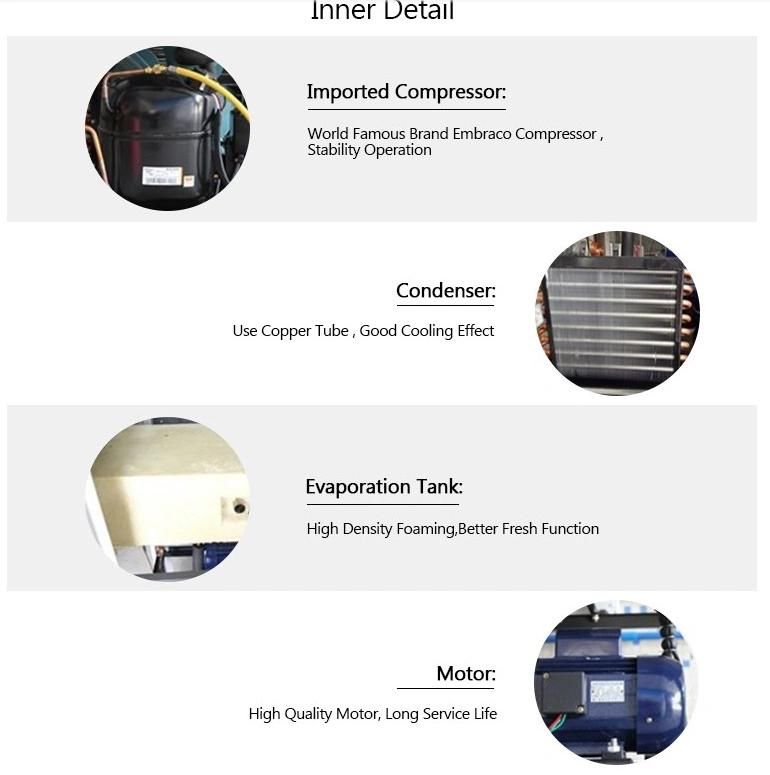 Professional Manufacturer of Refrigeration Equipment Ice Cream Machine Bql-308