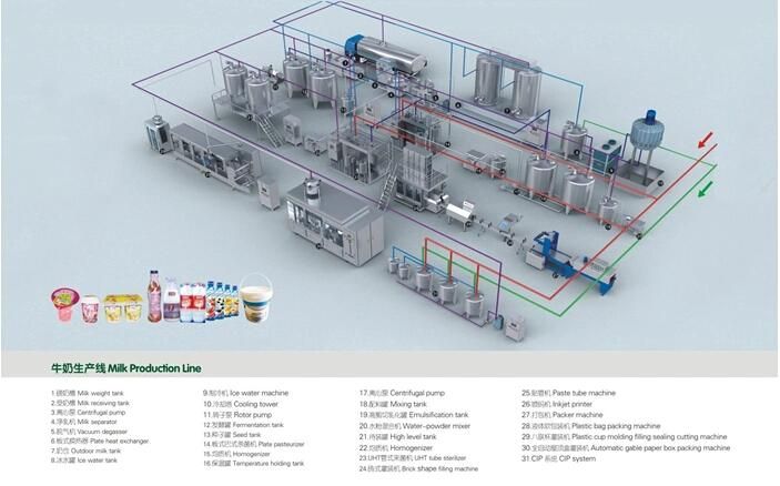 Industrial Size Complete Cheese Processing Plant