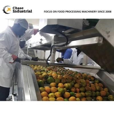 220L Aseptic Package Chili Sauce Mango / Pineapple Paste Jam Making Processing Line