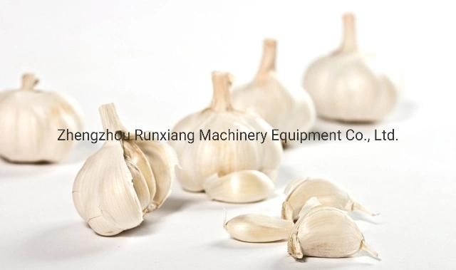 Small Garlic Bulb Separator Machine Garlic Breaking Machine