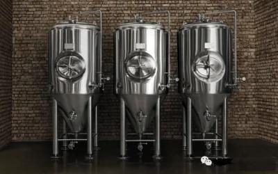 500-1000L Top or Side Manhole Fermenter Isobaric Fermentation Tank