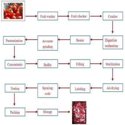 Popular Tomato Paste Production Line for Sale