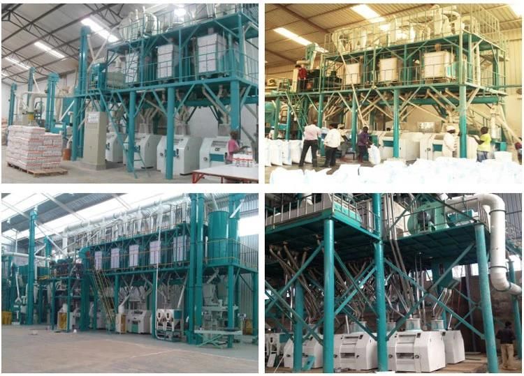 European Standard Wheat Flour Milling Machine
