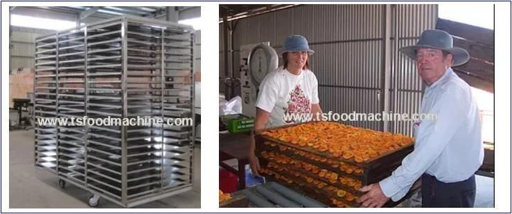 Food Dehydrator Orange and Strawberry Drying Machine