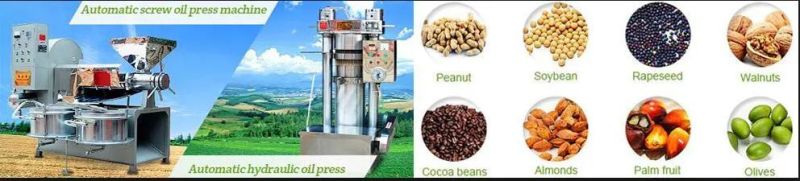 Automatic Screw Oil Extractor Extracting Oil Press Mill Processing Machine