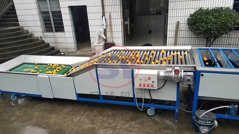 3-6 Grades Vegetable Sorting Grading Machine for Cherry/Tomato/Cirtus