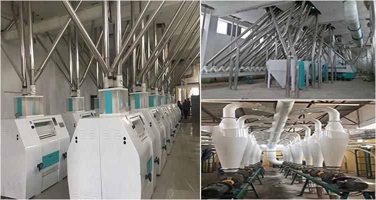 80t/D Flour Milling Machine, Wheat Flour Milling Machine