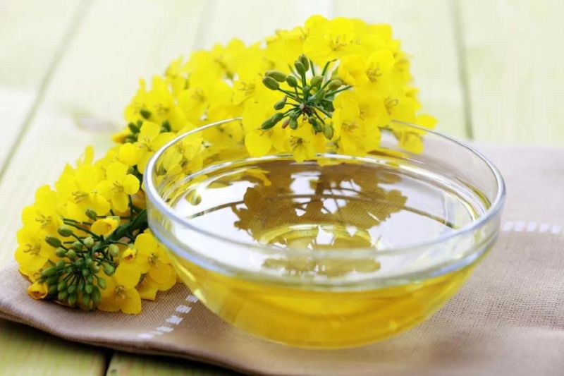 Rapeseed Oil Processing Equipment Production Line