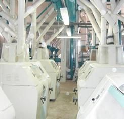 Newest Design Wheat Flour Mill Machinery