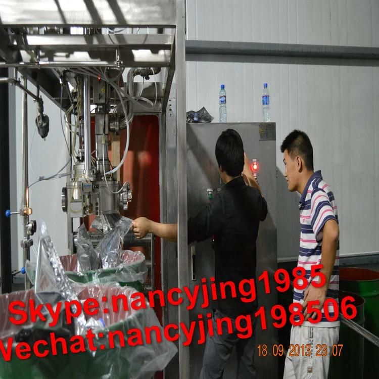 Apple Juice Concentrate Processing Production Line