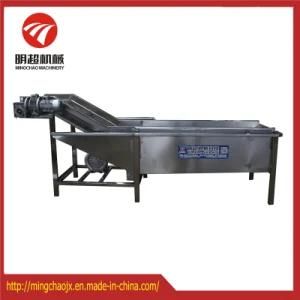 Continous Fruit Washing Machine Vegetable Cleaning Machine