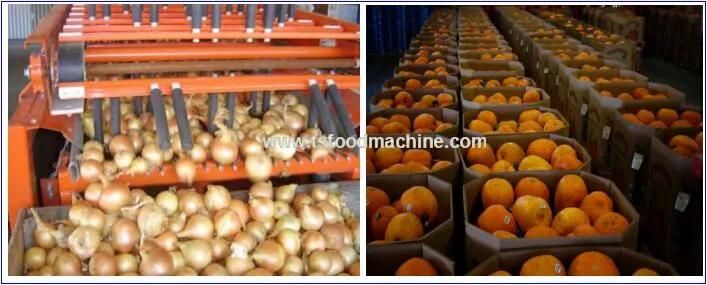 Pumpkin Onion Peeling Machine/Potato Peeling Skin Machine