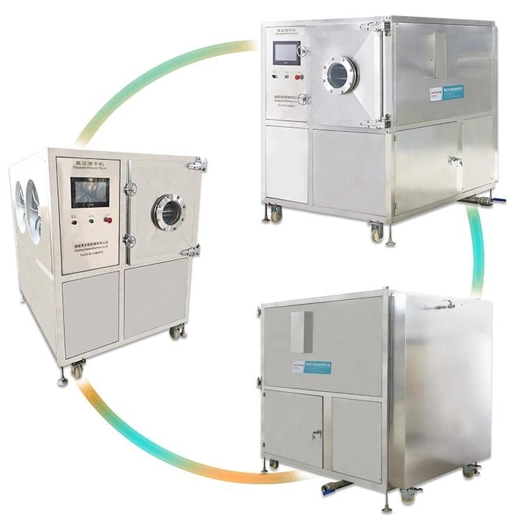 Automatic Lyophilization Freeze Dryer Dried Vegetable Lyophilizer Machine