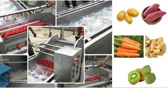 High Quality Dehydrated Garlic Powder Production Machinery Equipment Cheap Price for Sale