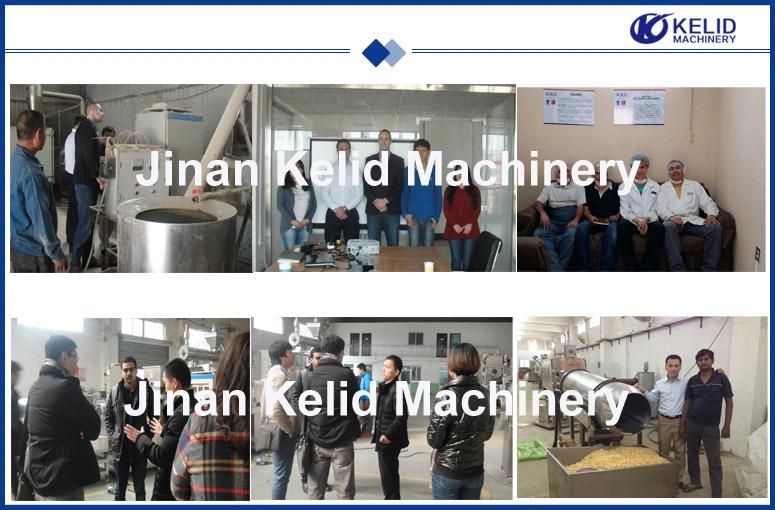 CE Standard New Condition Soya Nugget Machine